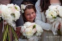 Hills and Hatton Norwich, Norfolk Wedding Photography 1084354 Image 2